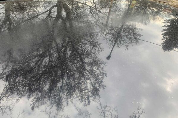 BMW 120d javítása, fényezése