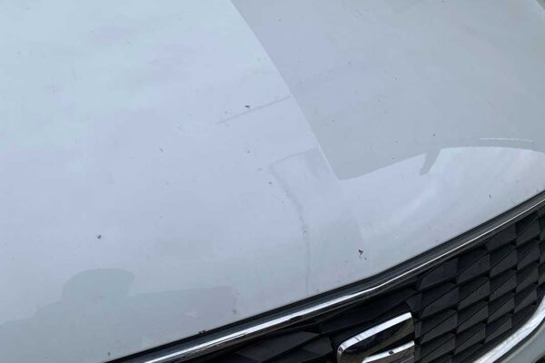 Seat Leon javítása, fényezése