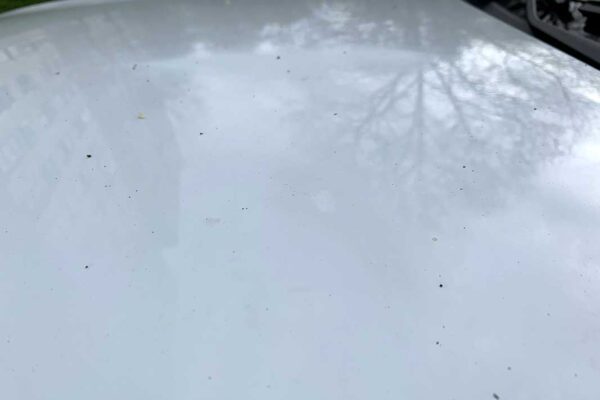 Suzuki Vitara javítása, fényezése